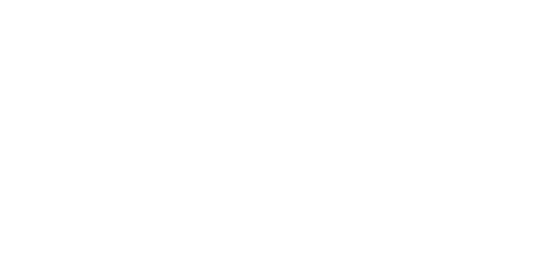 Fleetpride company logo