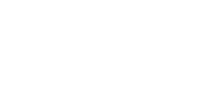 Zimmer Biomet company logo